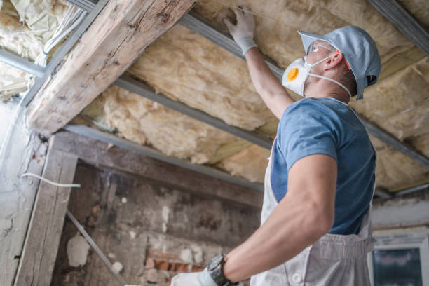 Best Blown-in Insulation in Fallston, MD